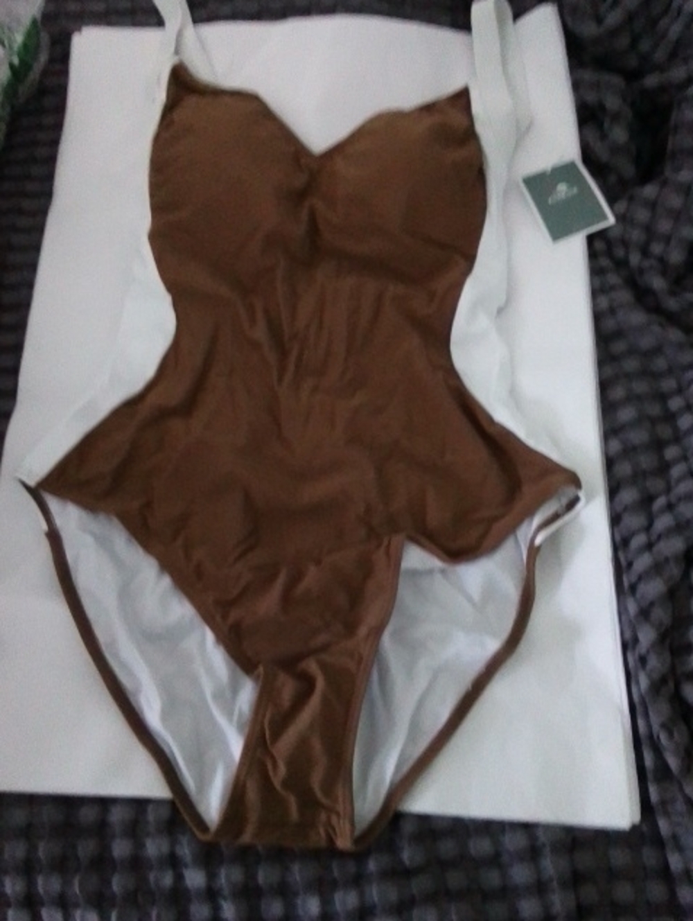 Womens One-Piece Swimsuit in Brown by EoMenie